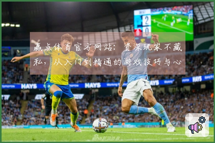 赢点体育官方网站：资深玩家不藏私，从入门到精通的游戏技巧与心得体会大公开