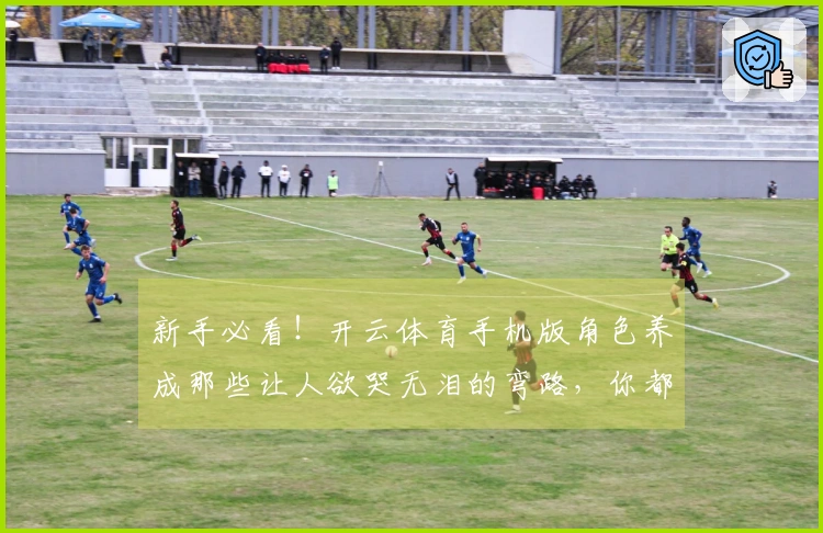 新手必看！开云体育手机版角色养成那些让人欲哭无泪的弯路，你都踩过吗？