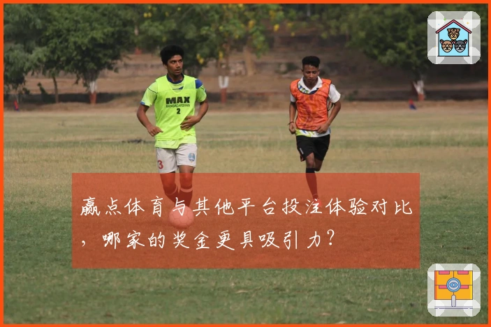 赢点体育与其他平台投注体验对比，哪家的奖金更具吸引力？