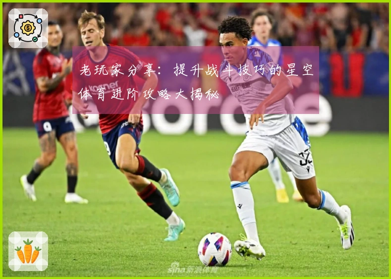 老玩家分享：提升战斗技巧的星空体育进阶攻略大揭秘